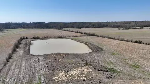 1055 Jenkins Rd, Terry, MS 39170 photo 18