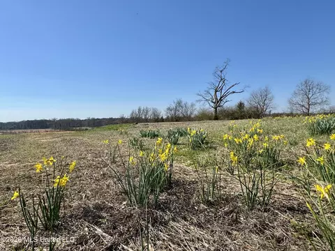 1055 Jenkins Rd, Terry, MS 39170 photo 13