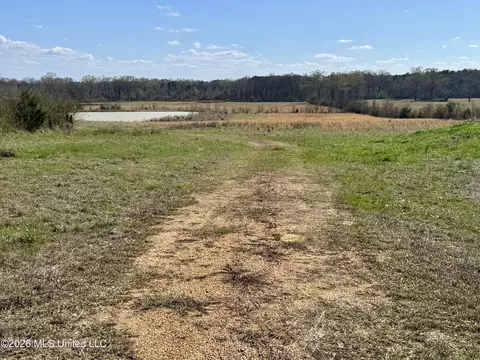 1055 Jenkins Rd, Terry, MS 39170 photo 9