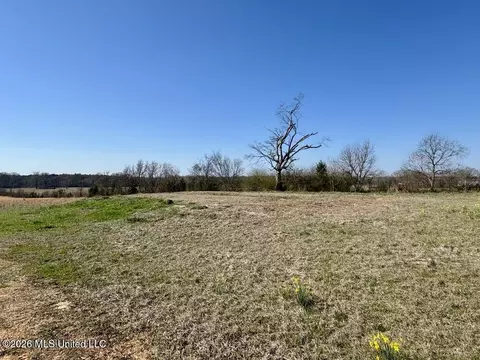 1055 Jenkins Rd, Terry, MS 39170 photo 14