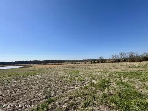 1055 Jenkins Rd, Terry, MS 39170 photo 19