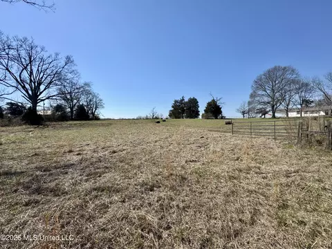 1055 Jenkins Rd, Terry, MS 39170 photo 6