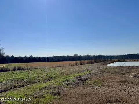 1055 Jenkins Rd, Terry, MS 39170 photo 23