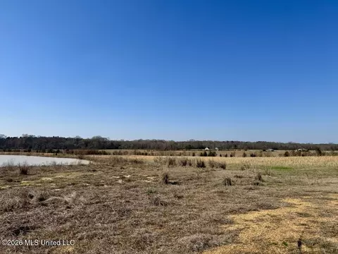 1055 Jenkins Rd, Terry, MS 39170 photo 22