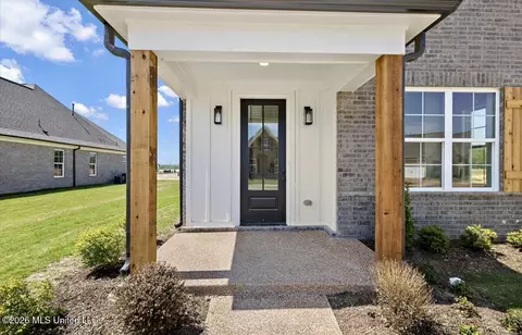 Exterior - 902 Coahoma Ct, Nesbit, MS 38651 photo 4 of 6