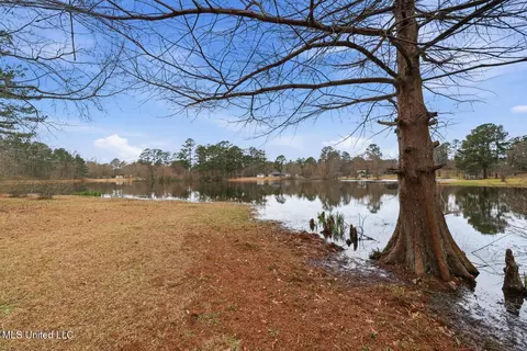 View/Area - 109 Springdale Dr, Terry, MS 39170 photo 3 of 19
