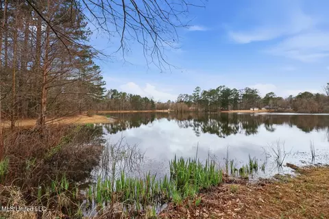 View/Area - 109 Springdale Dr, Terry, MS 39170 photo 2 of 19