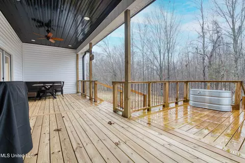 Exterior - 301 Summer Oaks Dr, Lamar, MS 38642 photo 5 of 7