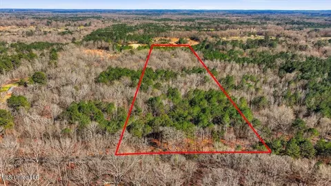Cleary Road, Florence, MS 39073