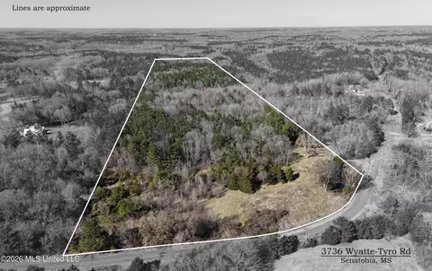 3736 Wyatte-tyro Rd, Senatobia, MS 38668