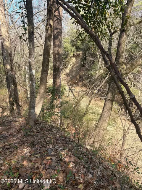 Other - 200 Gloucester Rd, Natchez, MS 39120 photo 10 of 11