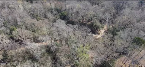 Other - 200 Gloucester Rd, Natchez, MS 39120 photo 9 of 11