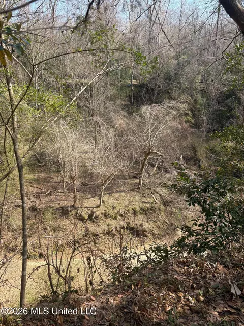 Other - 200 Gloucester Rd, Natchez, MS 39120 photo 11 of 11