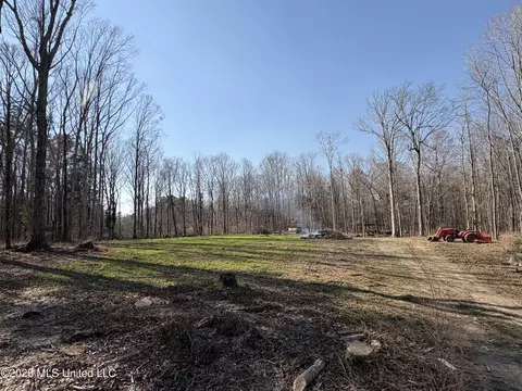 229 Barnes Rd, Florence, MS 39073 photo 10