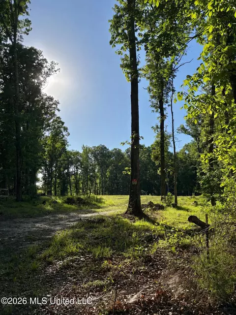 229 Barnes Rd, Florence, MS 39073