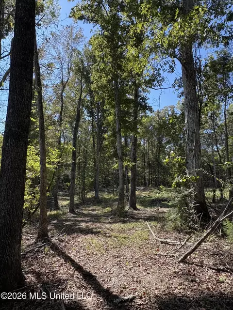 229 Barnes Rd, Florence, MS 39073 photo 18