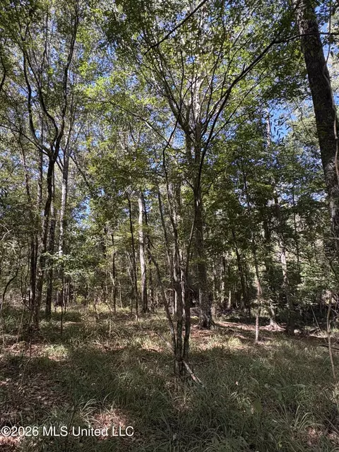 229 Barnes Rd, Florence, MS 39073 photo 22