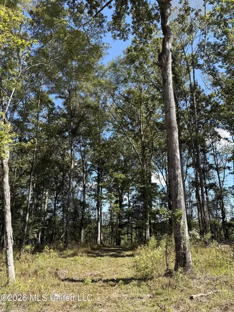 229 Barnes Rd, Florence, MS 39073 photo 5