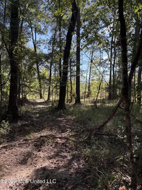 229 Barnes Rd, Florence, MS 39073 photo 24