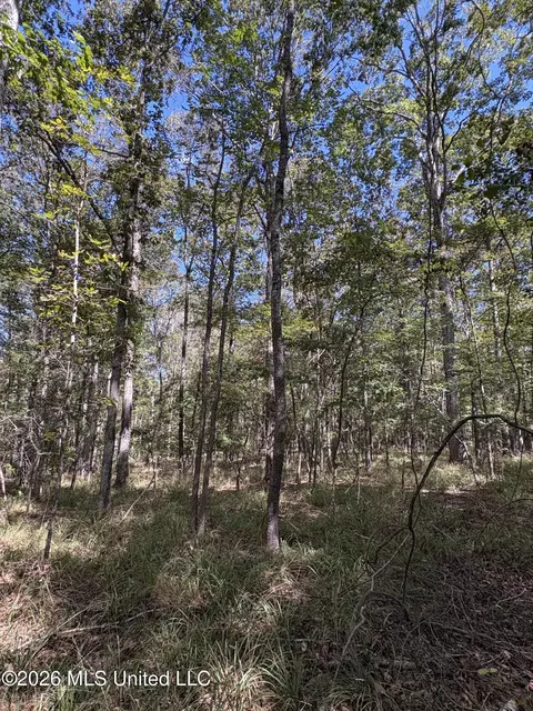 229 Barnes Rd, Florence, MS 39073 photo 15