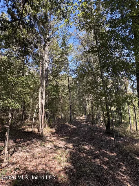 229 Barnes Rd, Florence, MS 39073 photo 19