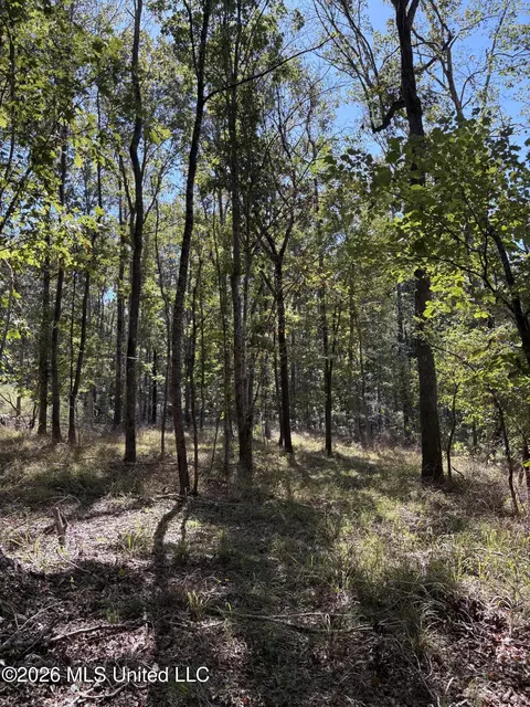 229 Barnes Rd, Florence, MS 39073 photo 14