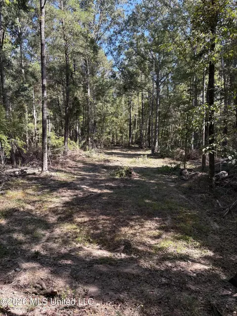 229 Barnes Rd, Florence, MS 39073 photo 31
