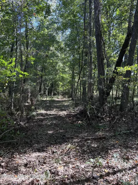229 Barnes Rd, Florence, MS 39073 photo 25