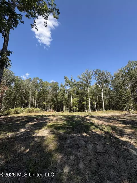 229 Barnes Rd, Florence, MS 39073 photo 7