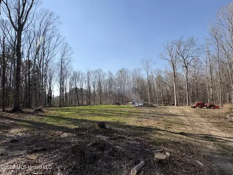 229 Barnes Rd, Florence, MS 39073 photo 4