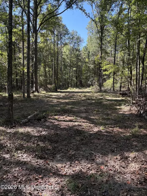 229 Barnes Rd, Florence, MS 39073 photo 26