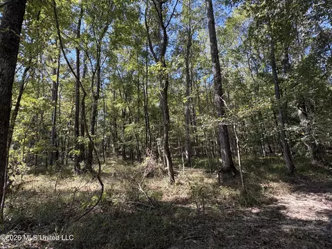 229 Barnes Rd, Florence, MS 39073 photo 28