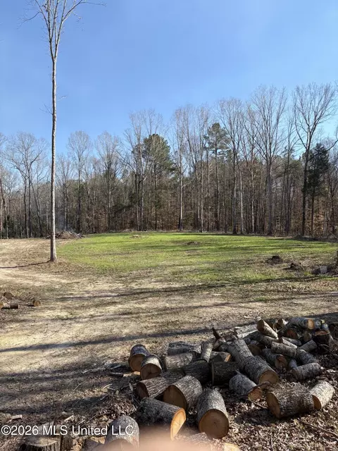 229 Barnes Rd, Florence, MS 39073 photo 13