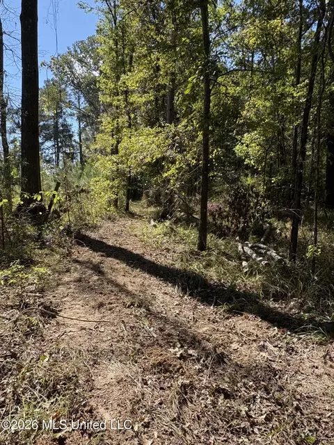 229 Barnes Rd, Florence, MS 39073 photo 23