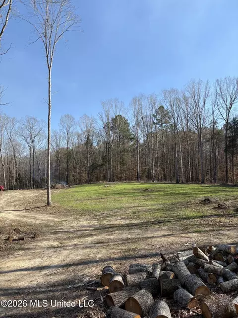 229 Barnes Rd, Florence, MS 39073 photo 12
