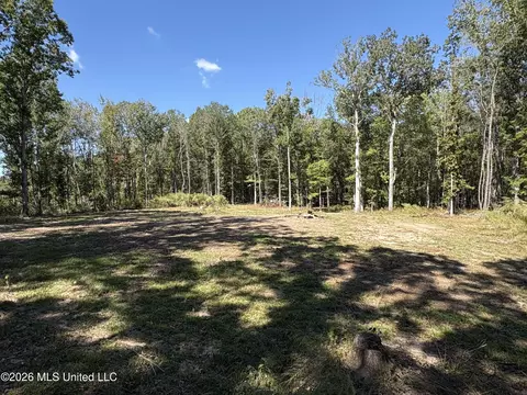 229 Barnes Rd, Florence, MS 39073 photo 6