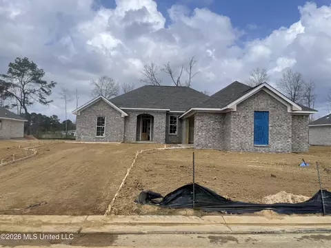 562 Patrick Farms Dr, Pearl, MS 39208