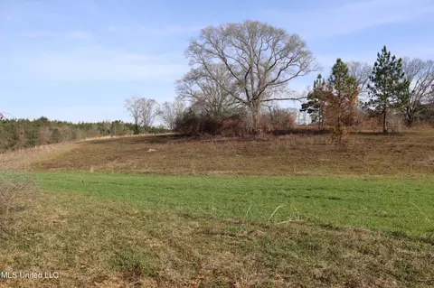 1270 Hilt Fornea Rd, Poplarville, MS 39470