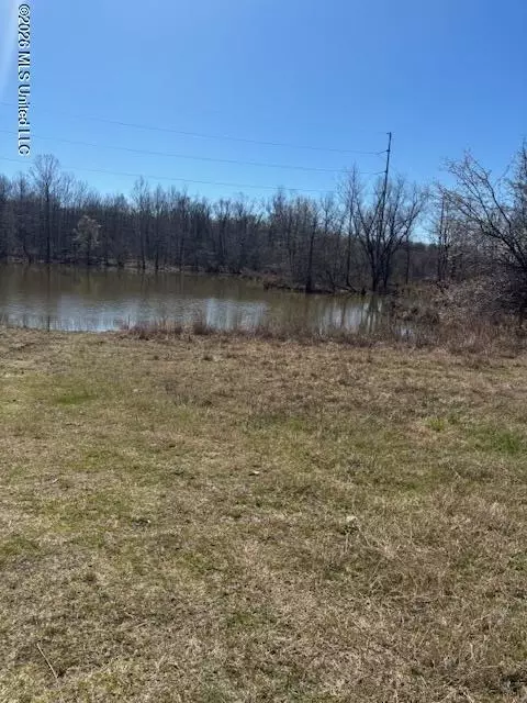 4587 Grazeland Dr, Olive Branch, MS 38654