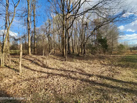 Aaron Road, Sarah, MS 38665 photo 3