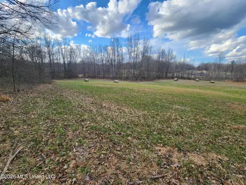 Aaron Road, Sarah, MS 38665 photo 8