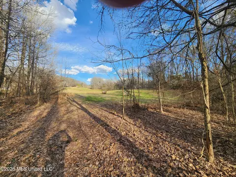Aaron Road, Sarah, MS 38665 photo 6