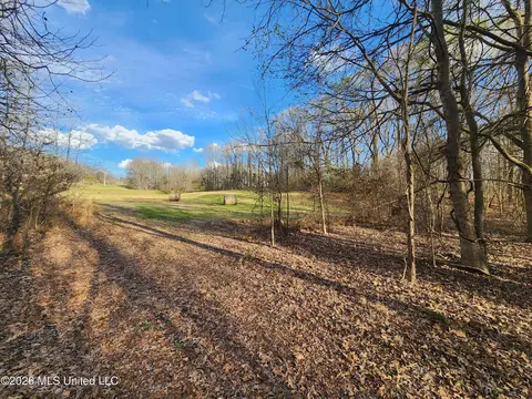 Aaron Road, Sarah, MS 38665 photo 4