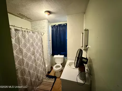 Bath - 9724 Old Hillsboro Rd, Forest, MS 39074 photo 2 of 2
