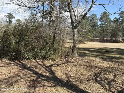 Exterior - 348 Old Magee Rd, Magee, MS 39111 photo 25 of 25