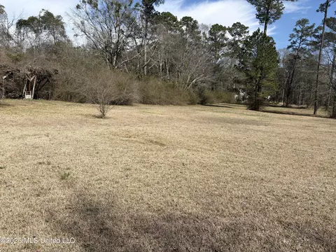 Exterior - 348 Old Magee Rd, Magee, MS 39111 photo 14 of 25