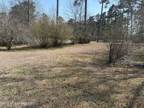 Exterior - 348 Old Magee Rd, Magee, MS 39111 photo 11 of 25