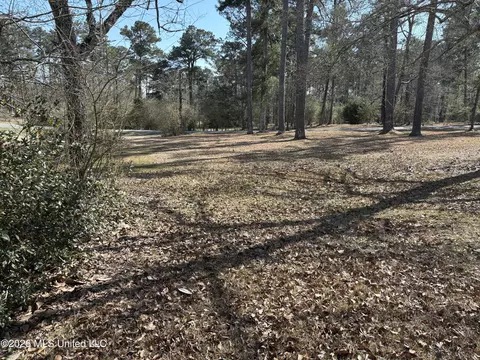 Exterior - 348 Old Magee Rd, Magee, MS 39111 photo 24 of 25