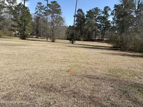 Exterior - 348 Old Magee Rd, Magee, MS 39111 photo 13 of 25