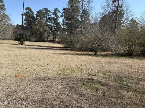Exterior - 348 Old Magee Rd, Magee, MS 39111 photo 12 of 25
